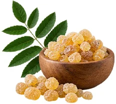 FortuflexNano — Boswellia serrata kivonat